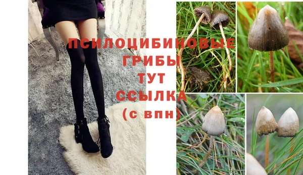 каннабис Верея